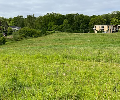 Naturbeskyttelsesloven § 3 sekundært billede